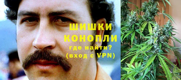 дмт Няндома