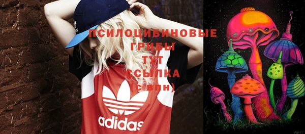 амф Нягань