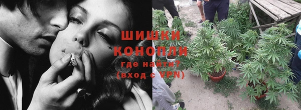 метадон Новодвинск