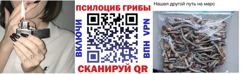 Галлюциногенные грибы GOLDEN TEACHER  купить  цена  Липецк 