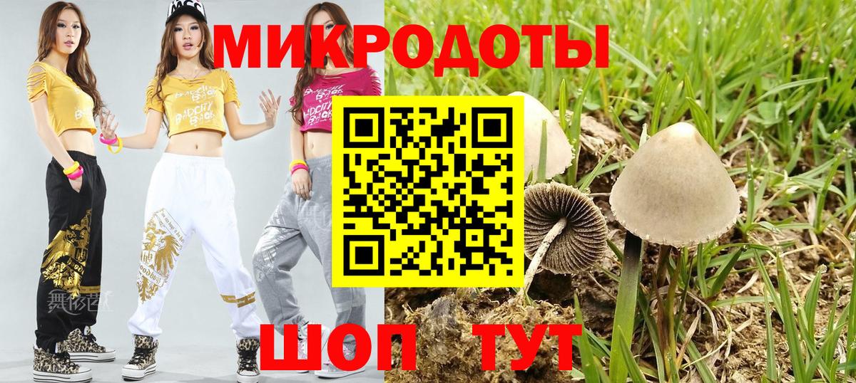 Псилоцибиновые грибы мухоморы Липецк