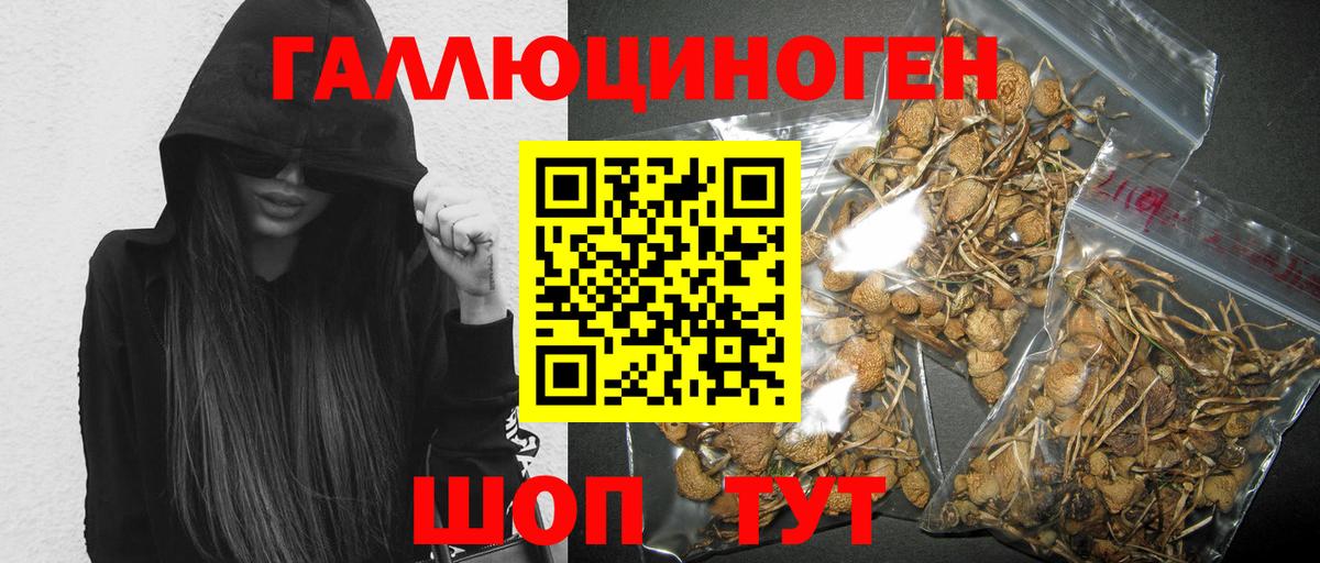 Псилоцибиновые грибы мицелий Липецк