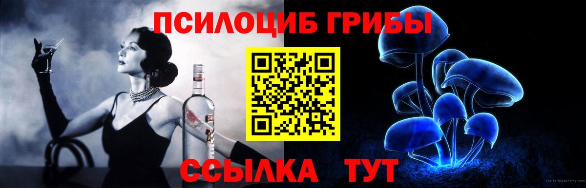 Псилоцибиновые грибы Psilocybine cubensis  цена   Липецк 